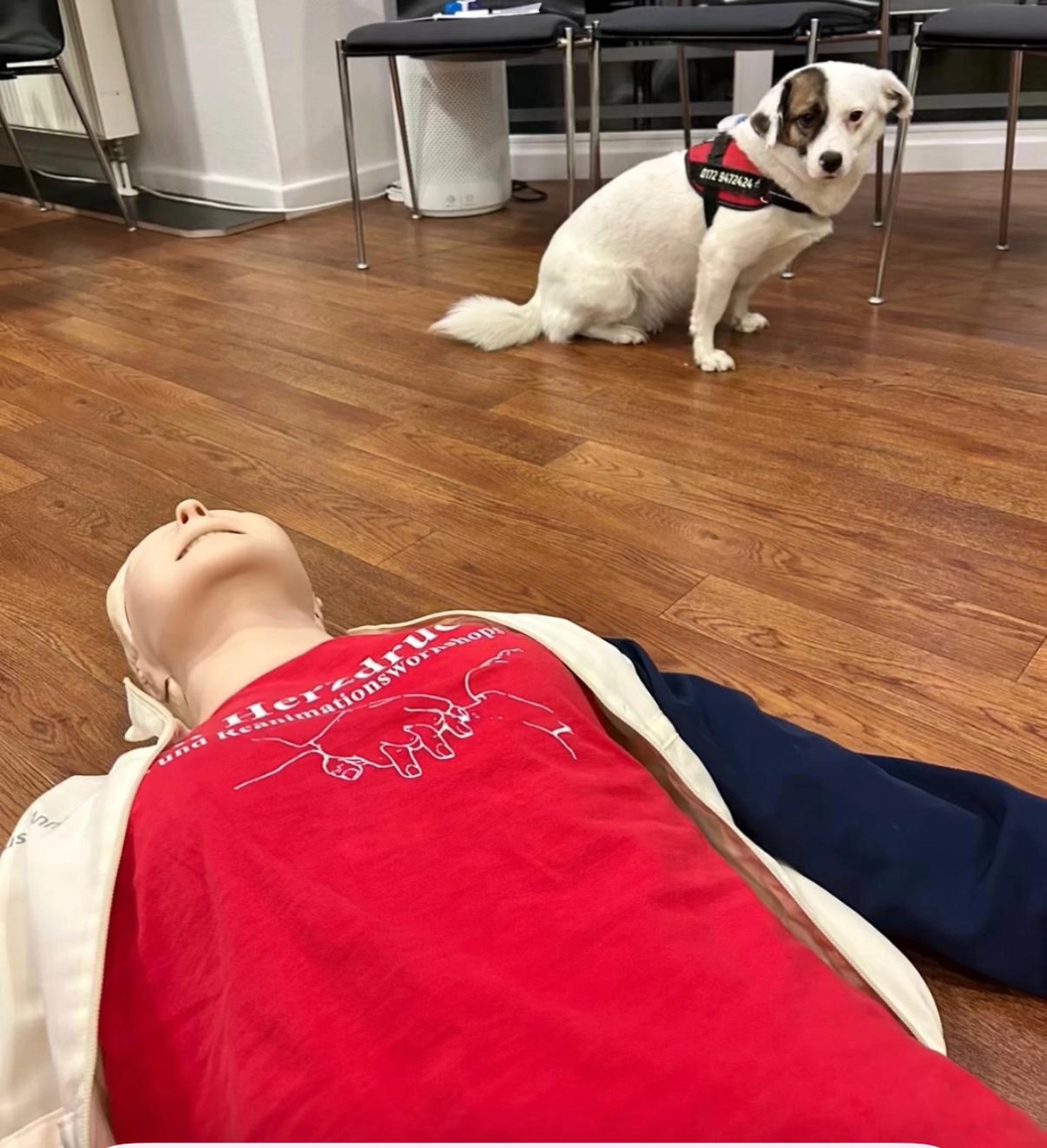 Team Herzdruck - Trainingsaufbau - Notfallseminar - Simulationstraining - Claudia Ledig