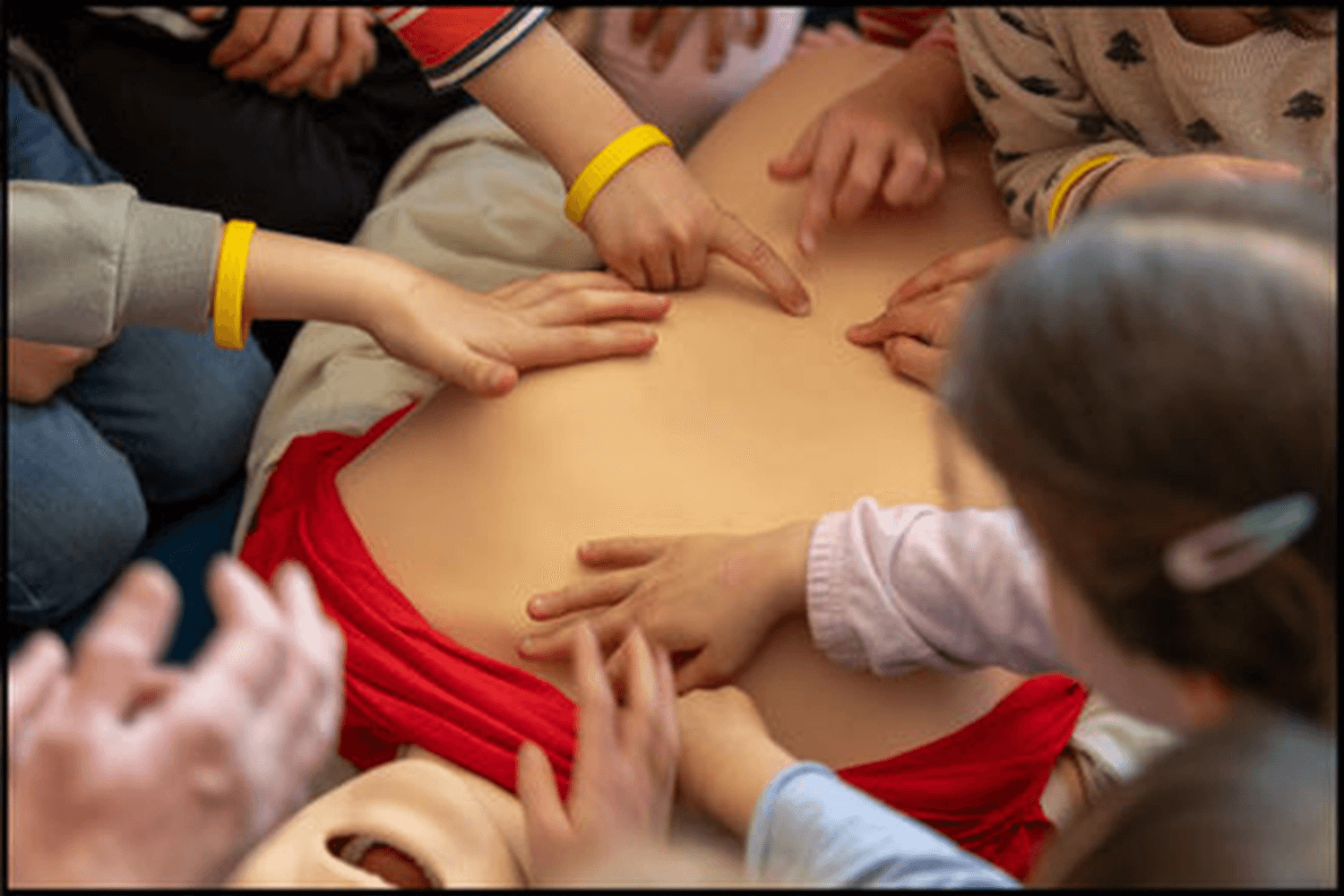 Kinderhände üben im Kreis die Herzdruckmassage an einem Übungsphantom, Aufnahme von oben
